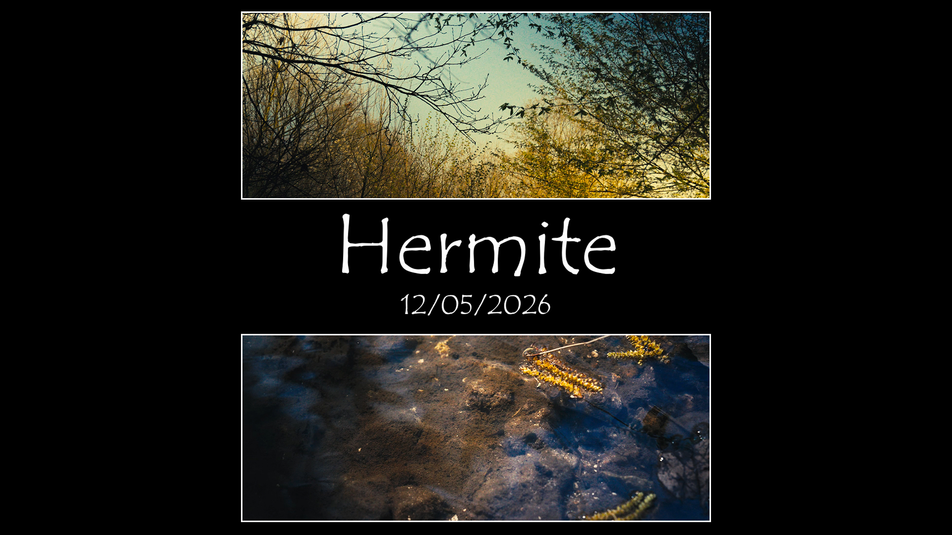 Miniature Hermite