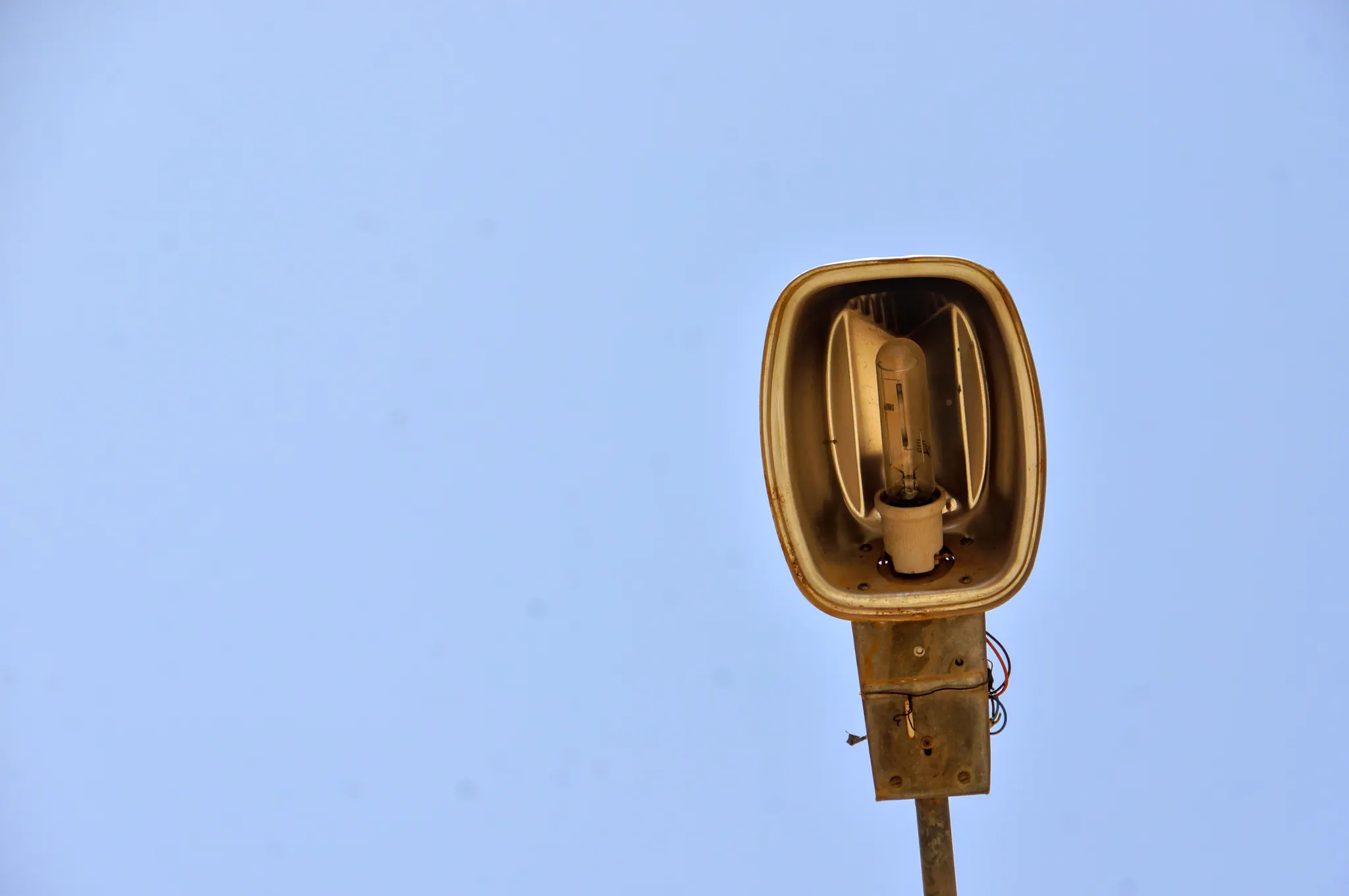Photo day_pic2_8.1 — 21 juillet 2025